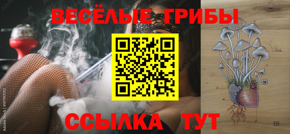 Псилоцибиновые грибы Psilocybine cubensis  Аша 