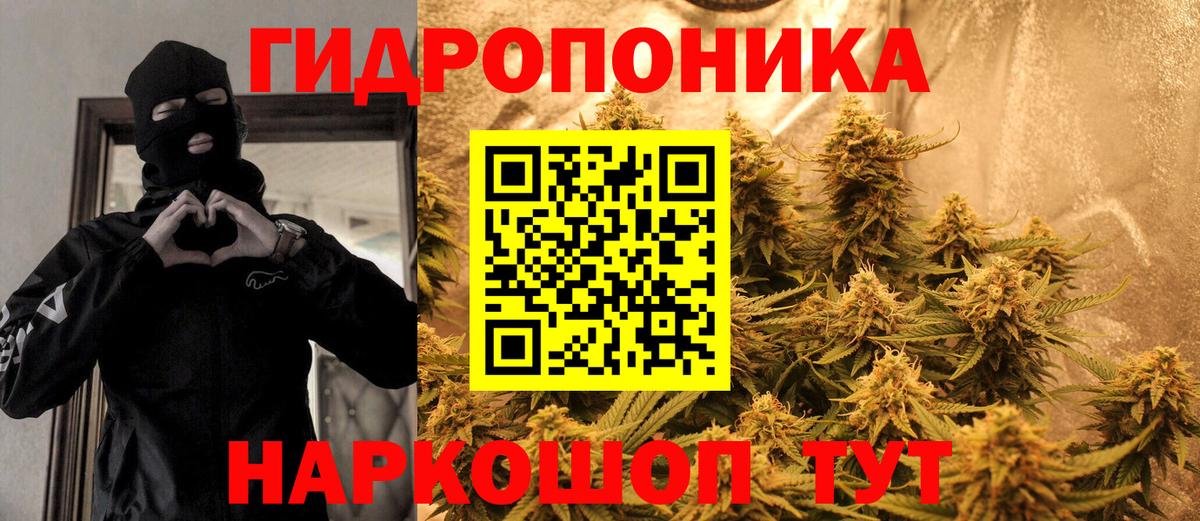 Бошки марихуана Ganja Аша